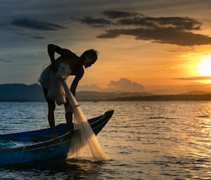 pexels-quang-nguyen-vinh-222549-2131904