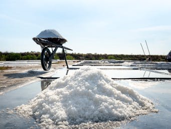 pexels-quang-nguyen-vinh-222549-6871979