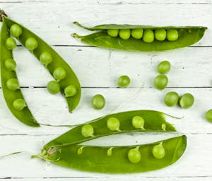 pexels-r-khalil-250162-768090