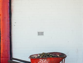 pexels-rachel-claire-5490910