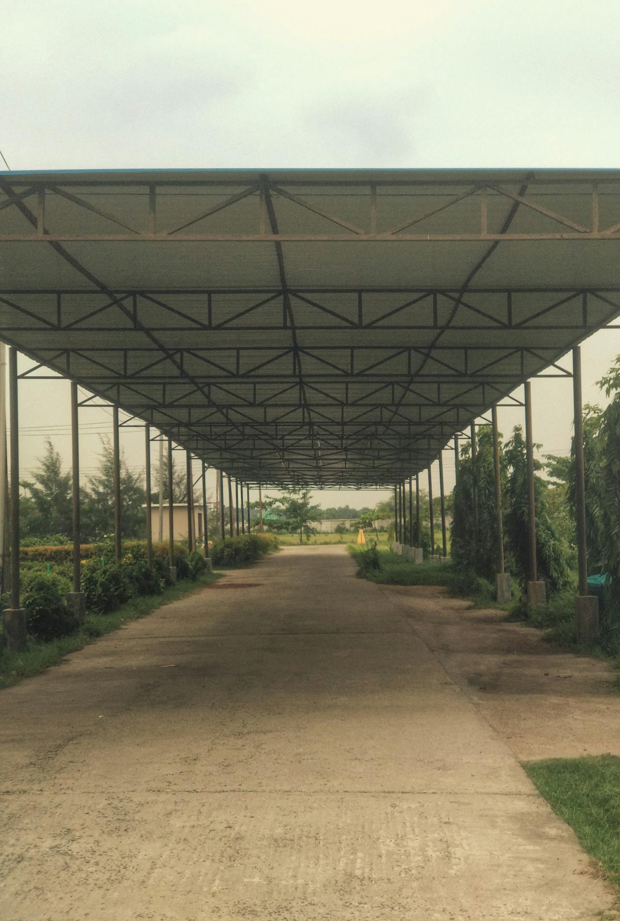 pexels-rafinshah-33874417