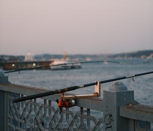 pexels-reojuve-25204576