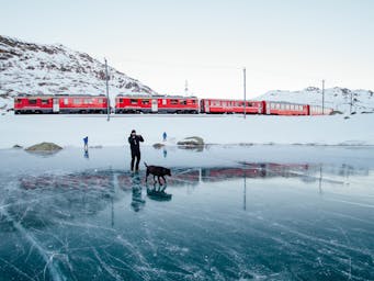 pexels-riciardus-309944