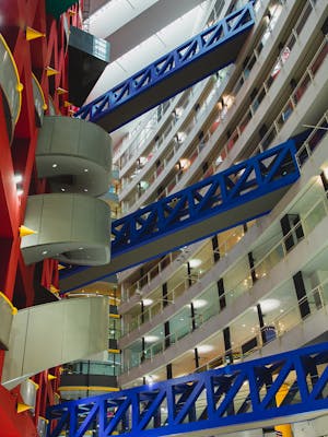 pexels-ryutaro-6249453