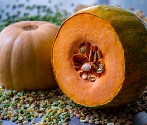 pexels-santiago-jose-calvo-210752001-11820118