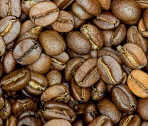 pexels-sergey-doroshenko-2156111339-34042938