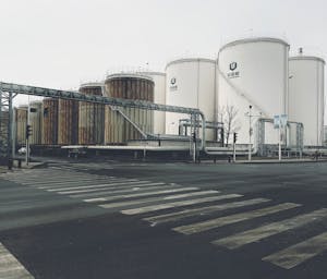 pexels-shuaizhi-tian-485596-20715693