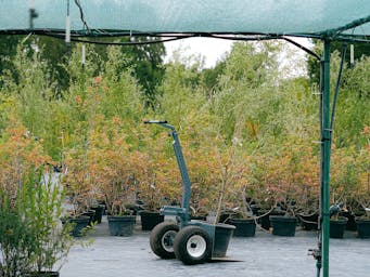 pexels-shvetsa-5230903