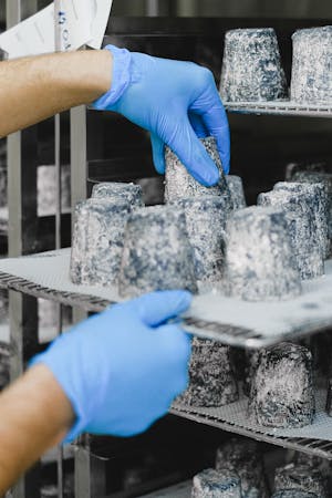 pexels-shvetsa-5953721_(1)