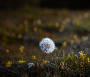 pexels-simon-clark-155872505-10693932