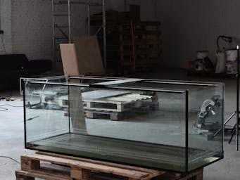 pexels-skylar-kang-6045047