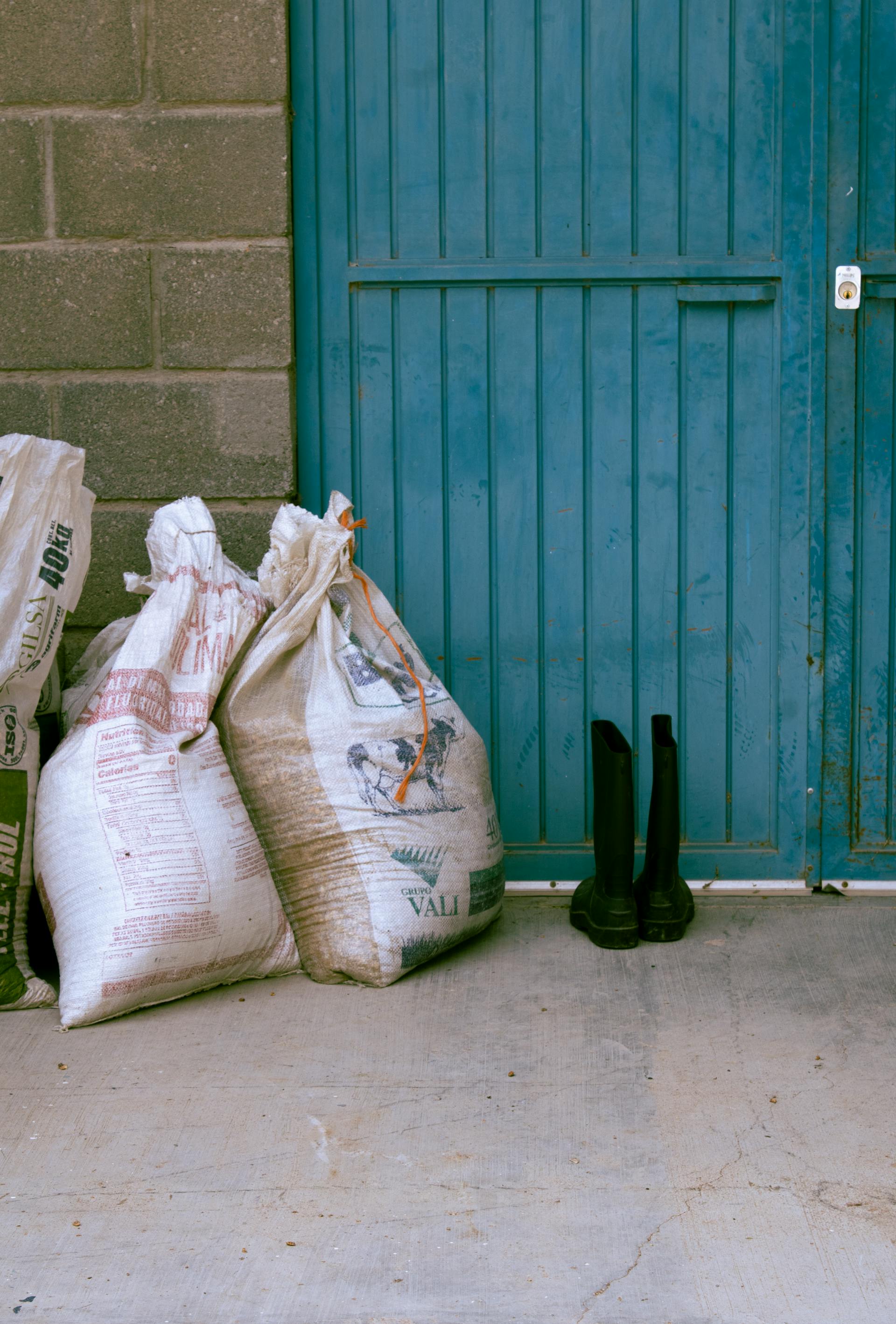 pexels-sofia-candia-634842752-34306730