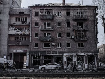 pexels-stefits-11477799