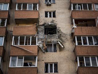 pexels-stefits-11627938