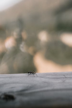 pexels-taryn-elliott-6701141