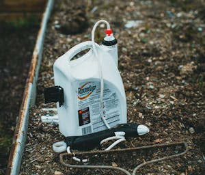 pexels-theshuttervision-12247010