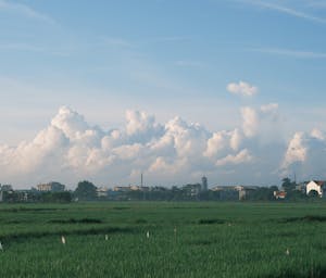 pexels-thuan-29033054