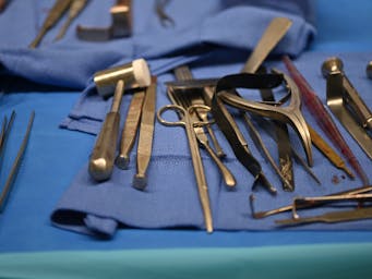 pexels-titus-fr-24193885