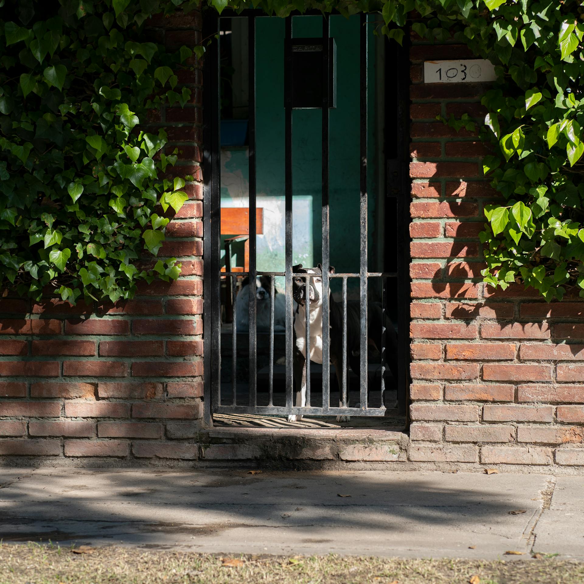 pexels-tomas-asurmendi-774865545-31619573