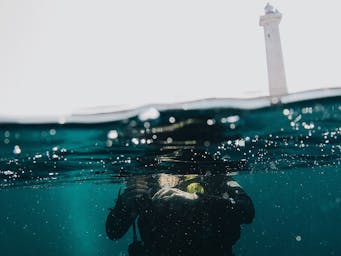 pexels-toulouse-3098973