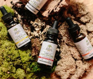 pexels-tree-of-life-seeds-1708680-3259584