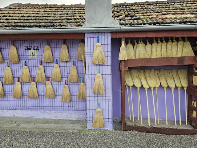 pexels-vera-krumova-833343780-19748312