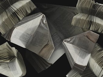 pexels-viktortalashuk-2377295