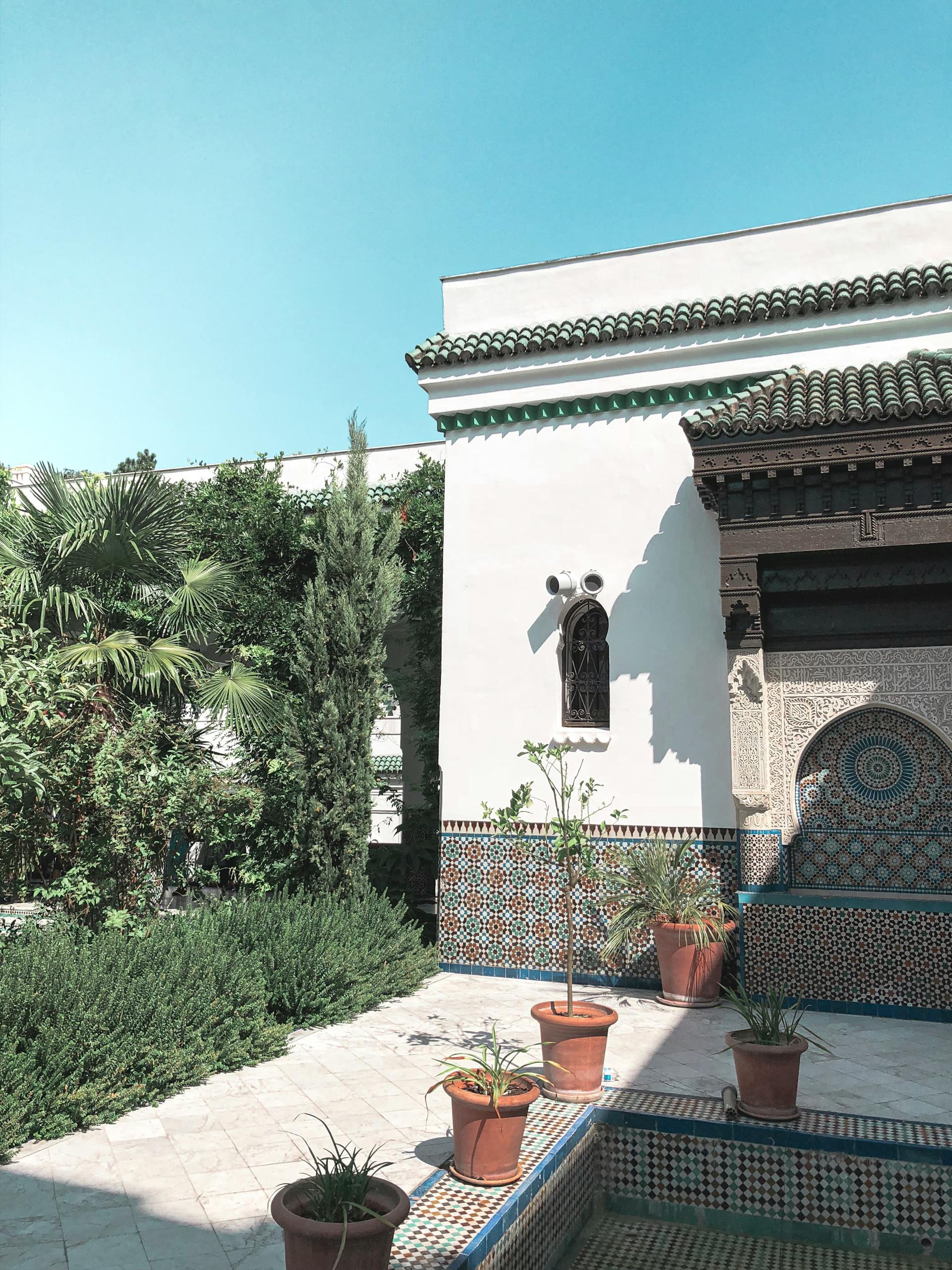 pexels-vince-2381348