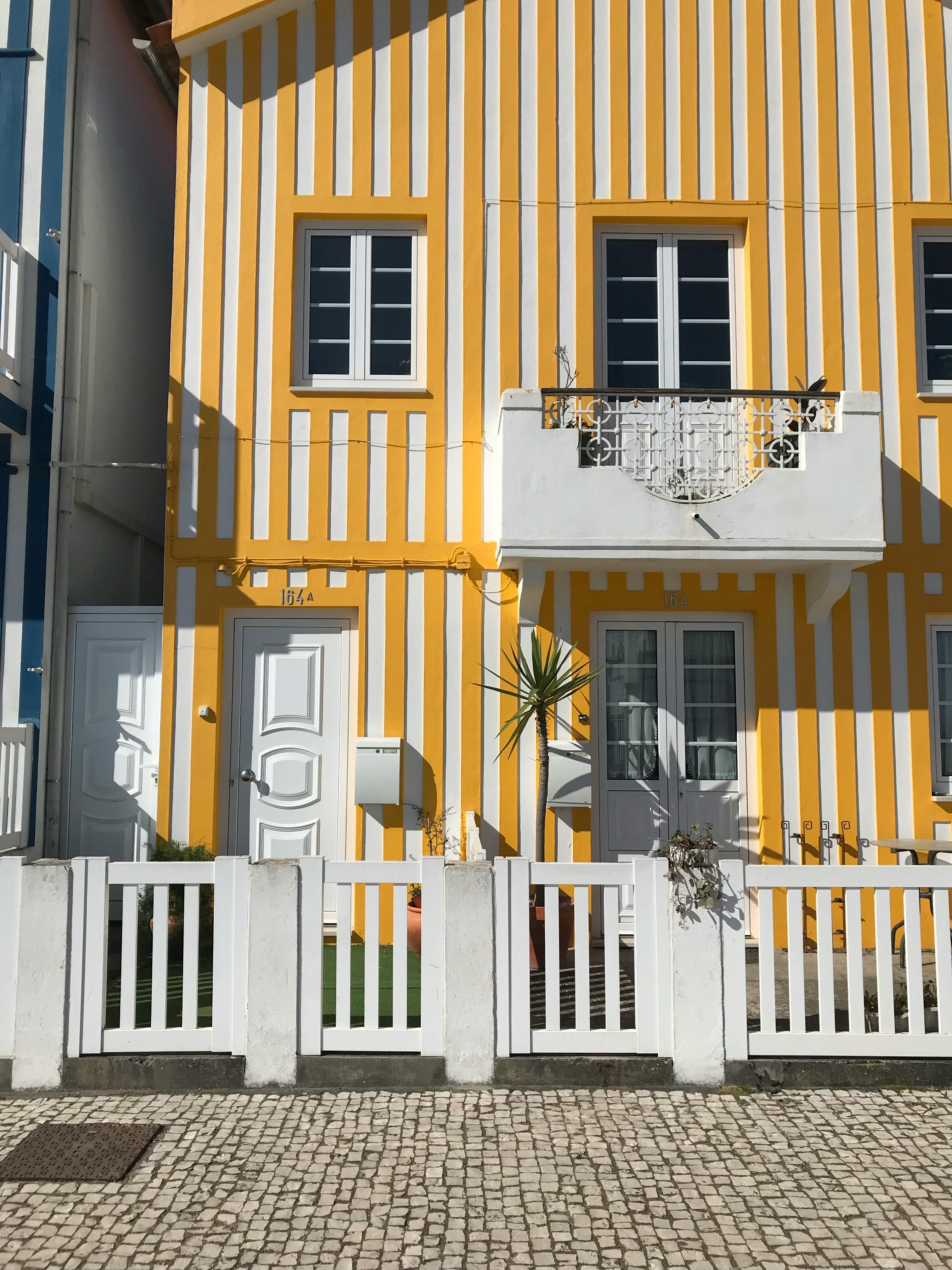 pexels-wellington-franzao-295720526-340105241