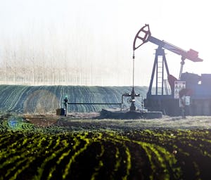 pexels-ywanphoto-2555521