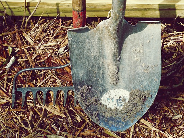 shovel-1867123_6401