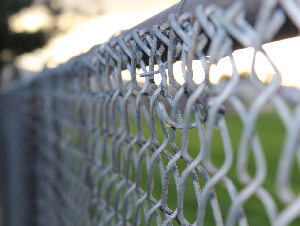 57armadillo-chain-link-6931428_1920