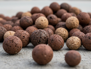 Generated_Image_November_01,_2025_-_12_30PM