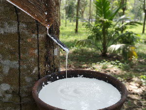 Generated_Image_November_12,_2025_-_10_39AM