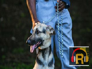 Security_Images-Guard1