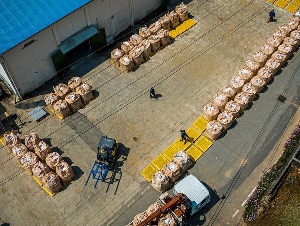 WhatsApp_Image_2025-06-26_at_11_36_12