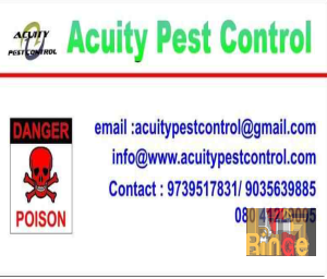 Acuity Pest Control