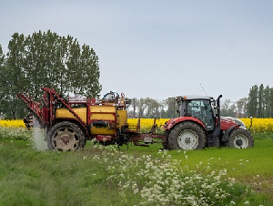 agriculture-8275498_640_(1)