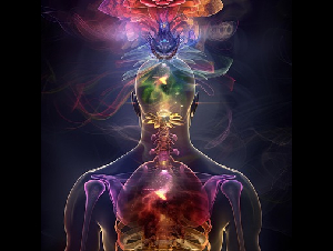 ai-generated-8690482_640