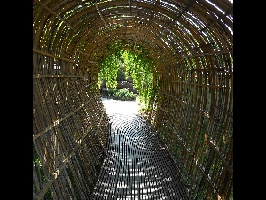 bamboo-tunnel-282547_1280