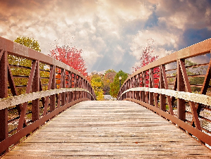 bridge-1385938_1280