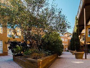 court-yard-641155_12801