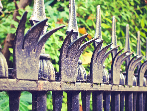 davemeier-fence-569281_1920