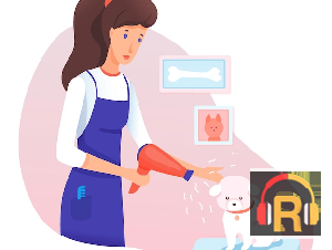 Pet Care Services at Home Grooming Veterinary and Training