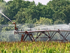farm-4421270_6401