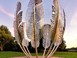 feathers-4585397_1280