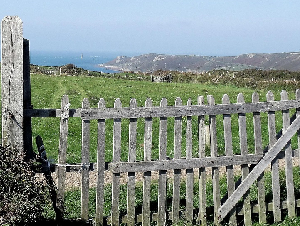 fencing-3252946_1280