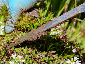 gardening-3296781_640
