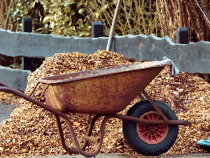 gardening-3997259_1280