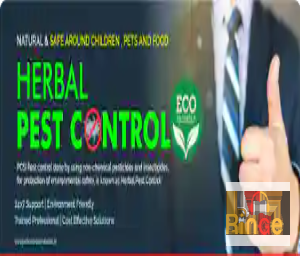 Herbal Pest Control Bangalore